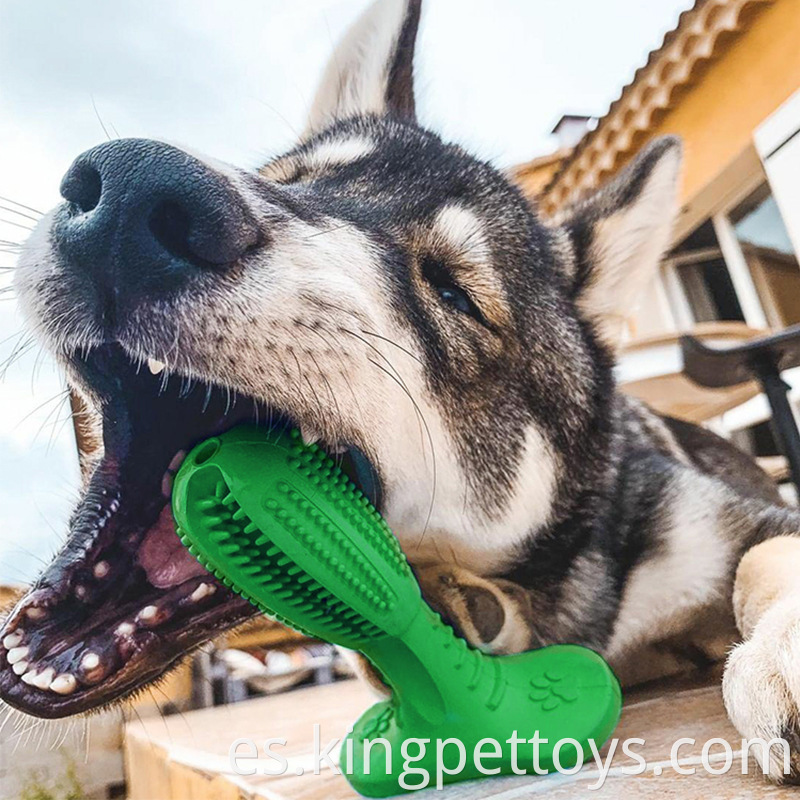 Nature Rubber Stick Dental Care